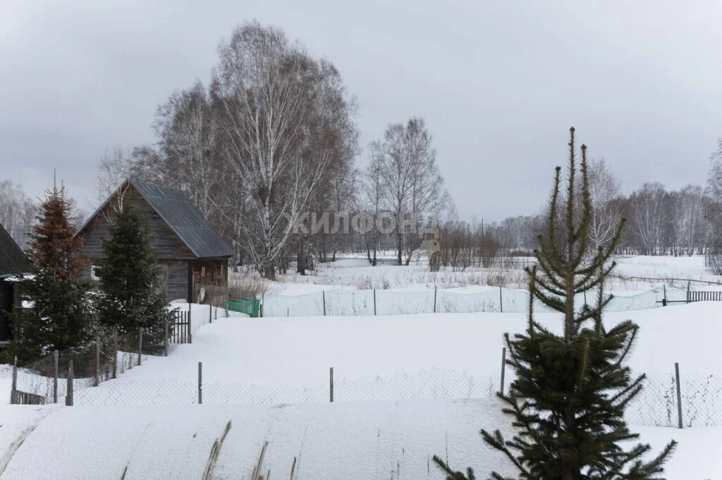 Продажа дома, Вьюны, Колыванский район, ул. Набережная - Фото 12