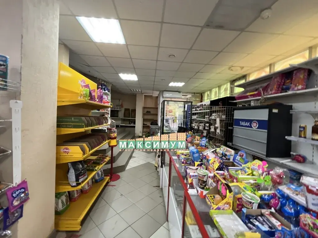 ПСН 360 кв.м. в г. Домодедово, ул. Гагарина, д.58 - Фото 7