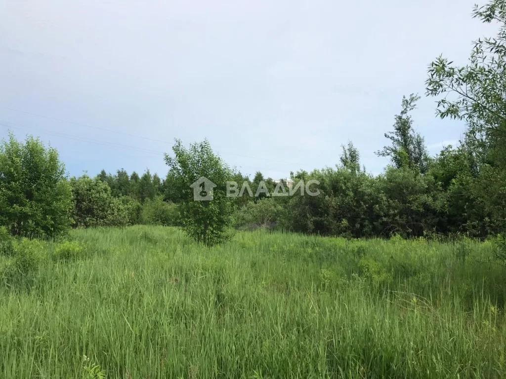 городской округ Владимир, Владимир, Ленинский район, Береговая улица,  ... - Фото 0