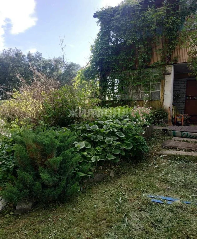 Продажа дома, Новосибирск, снт Ивушка - Фото 15