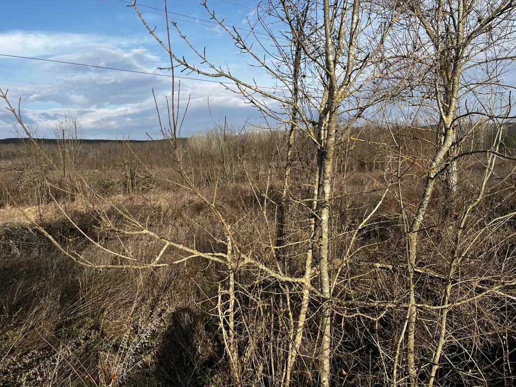 Продажа участка, Крепостная, Северский район - Фото 5