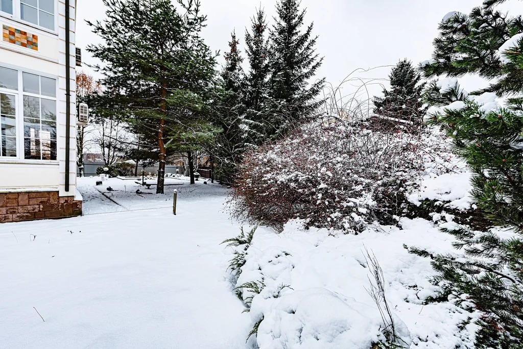 Продажа дома, Тарасовка, Пушкинский район, Сосновая улица - Фото 37