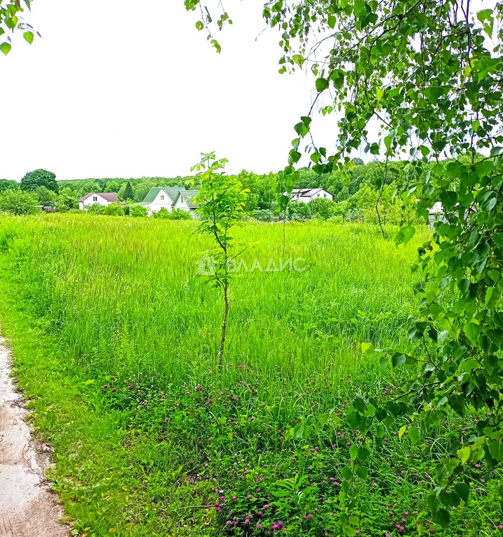 Боровский район, деревня Колодези, Ключевая улица,  земля на продажу - Фото 4