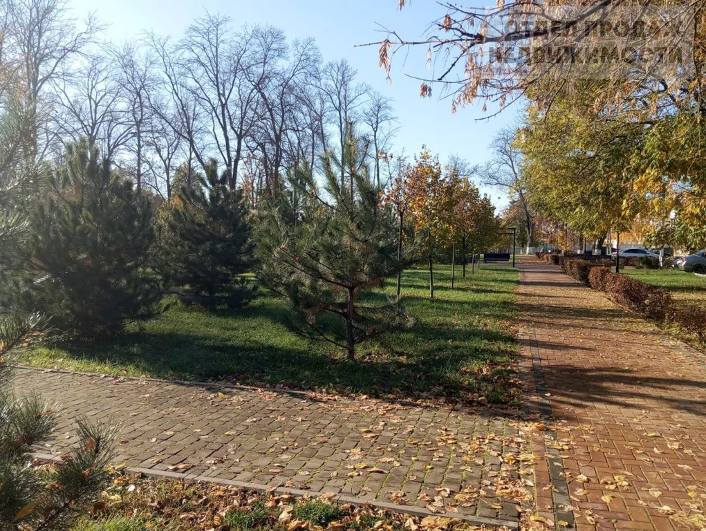 Объект 537725 - Фото 16