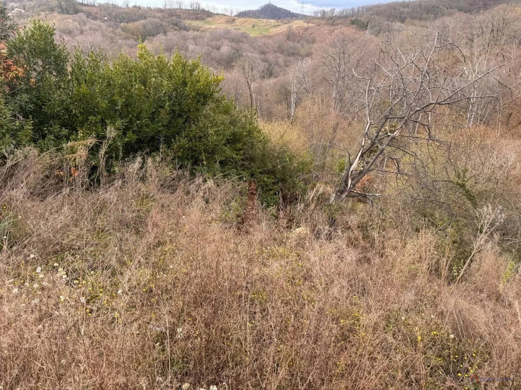 Продажа участка, Сочи - Фото 6