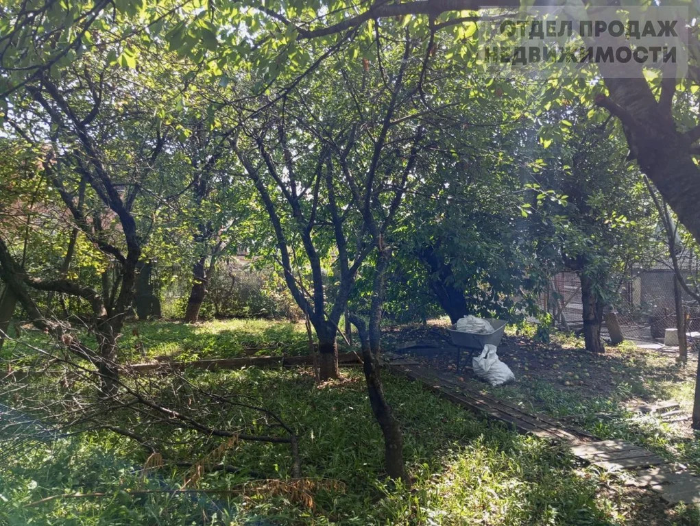 Объект 537559 - Фото 1