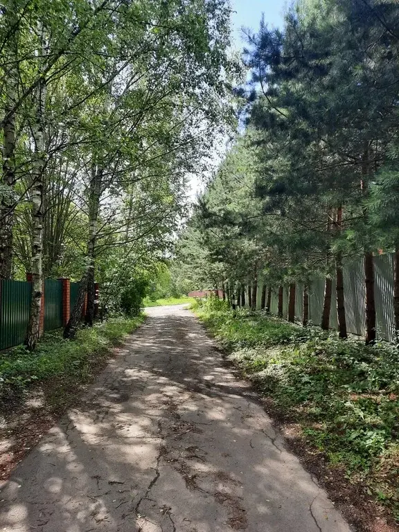 Лесной участок со старым домом на Рублевке , ИЖС, Молоденово - Фото 0