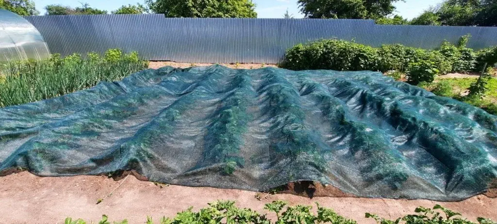 Дом в деревне Тимохино - Фото 38