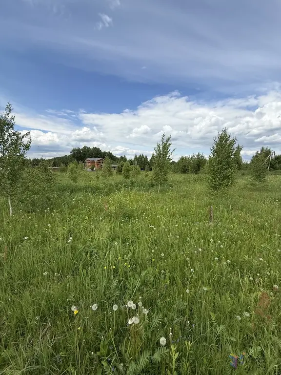 Продаю участок 12 соток под ПМЖ, д. Беспятово, Ступинский район. - Фото 7