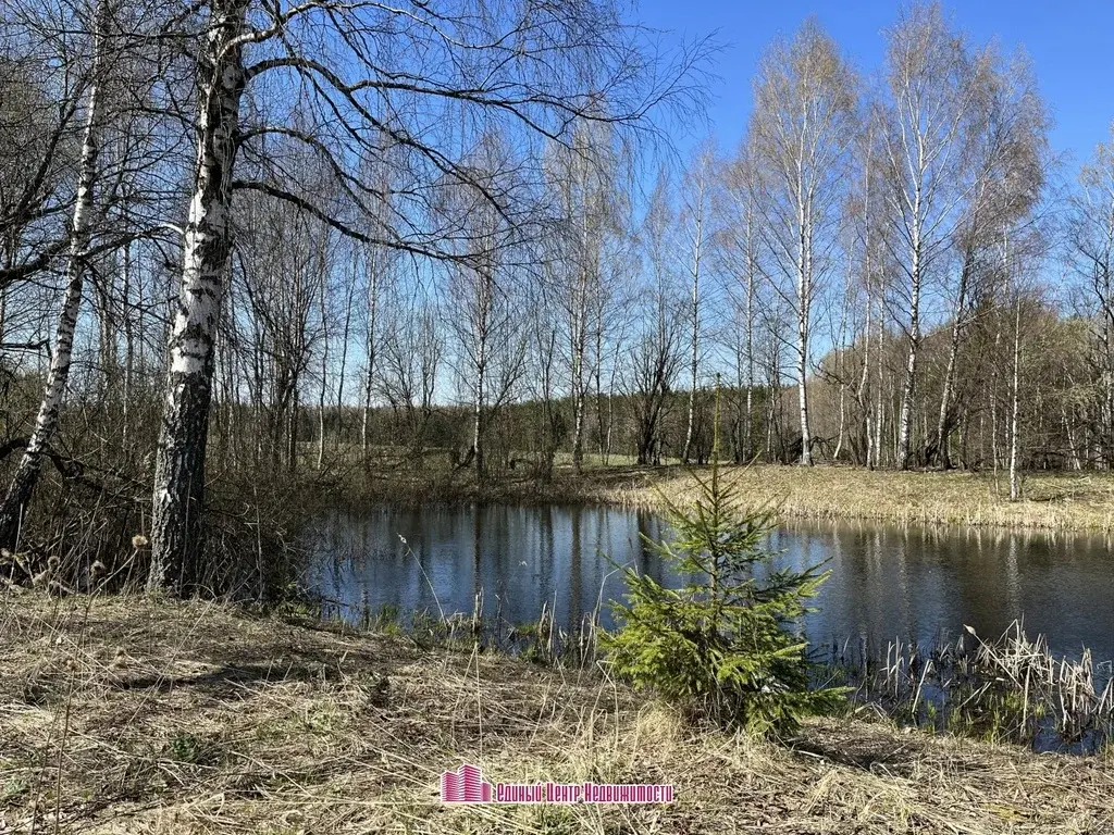 Участок 50 сот. , д. Боброво (Дмитровский район) - Фото 5