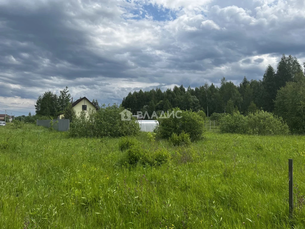 Некрасовский район, деревня Грешнево, Центральная улица, земля на . - Фото 1