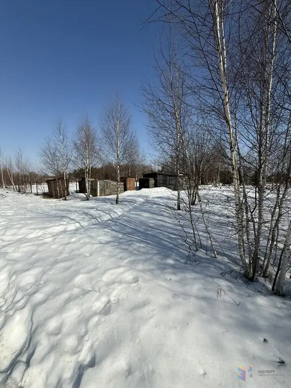 Продаю участок ясные зори - Фото 6