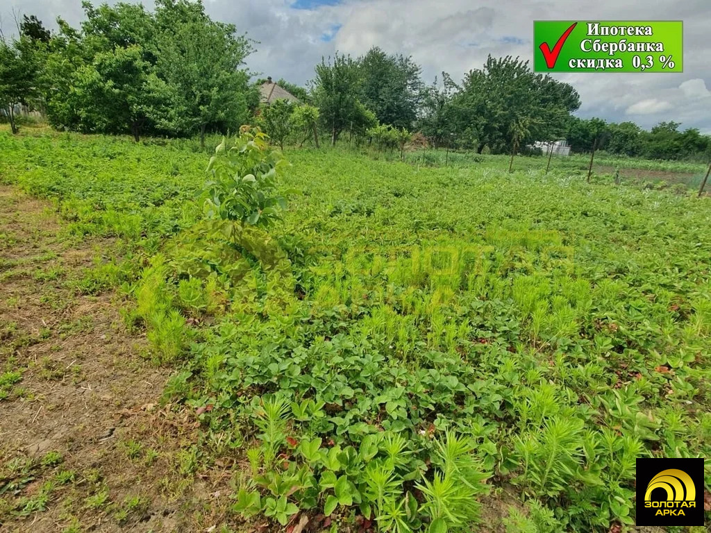 Продажа участка, Мингрельская, Абинский район, ул. Чкалова - Фото 5