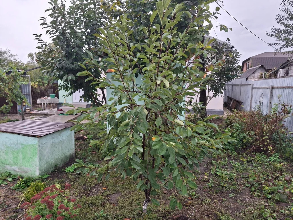 Продажа квартиры, Абинск, Абинский район, ул. Красноармейская - Фото 13