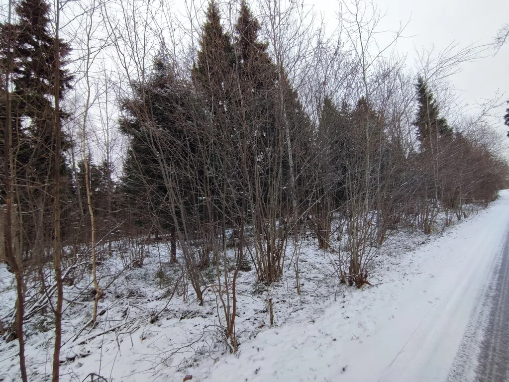 Продажа участка, НИИ Радио, Одинцовский район, Тыльная улица - Фото 5