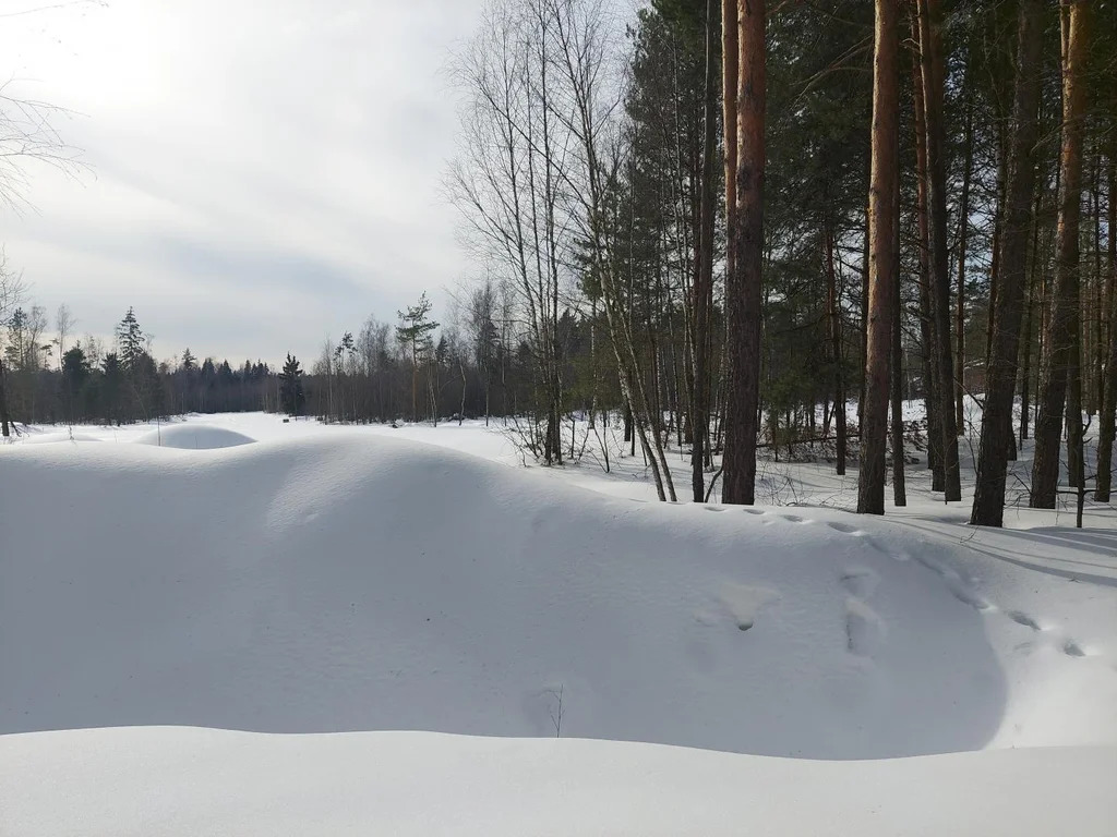 Продажа участка, Электроугли, Богородский г. о. - Фото 6