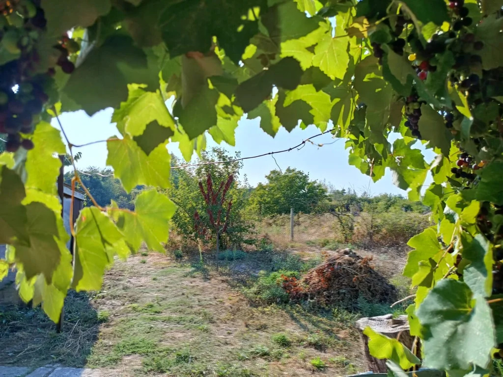 Продажа дома, Вышестеблиевская, Темрюкский район, Красноармейский пер. - Фото 15