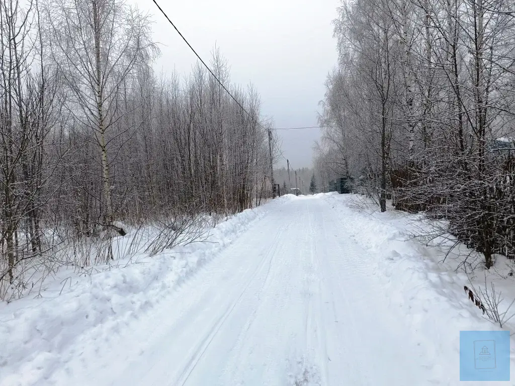 12 соток в д. Шапкино, СНТ Звездочка - Фото 7