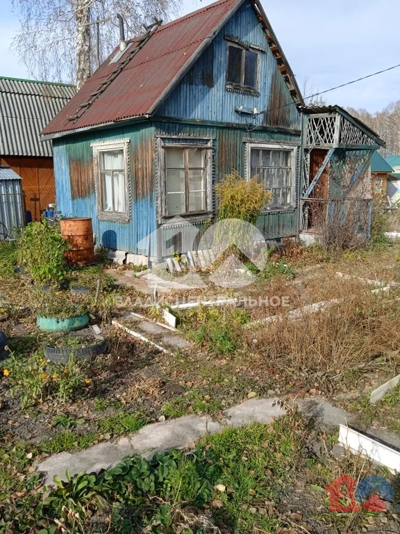Тогучинский район, СТН Зодчий-2,  земля на продажу - Фото 0