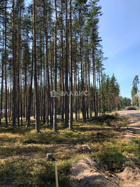 Выборгский район, коттеджный посёлок Акватория,  земля на продажу - Фото 2