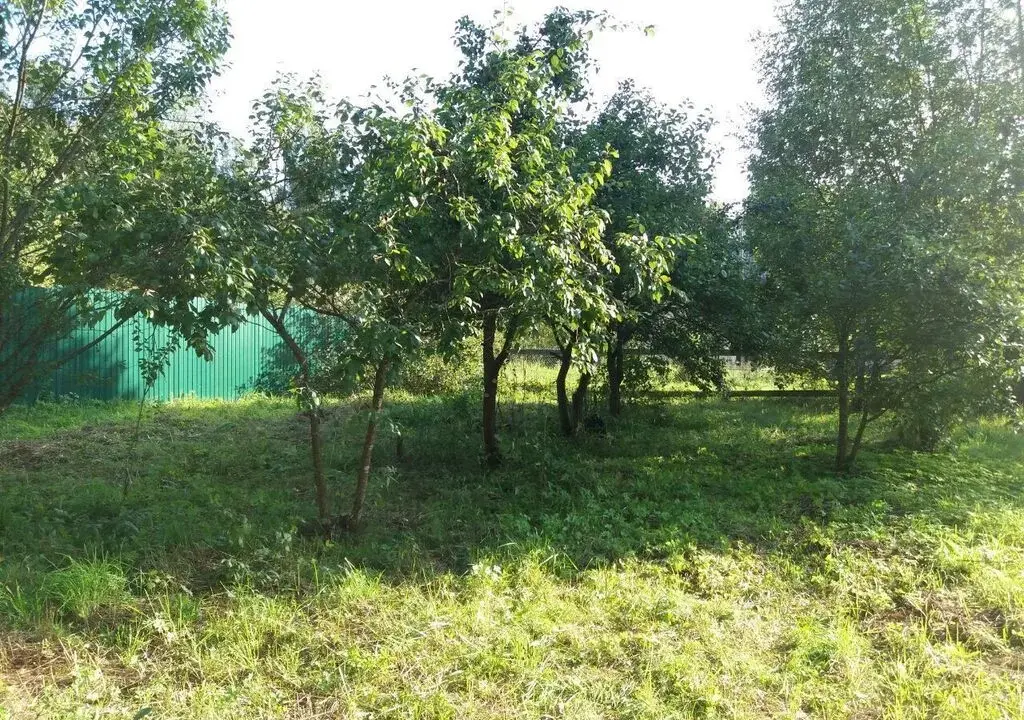 6 соток в Хоругвино, СНТ Дубрава - Фото 5