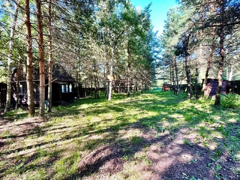 Дом в деревне Кудиновская - Фото 22