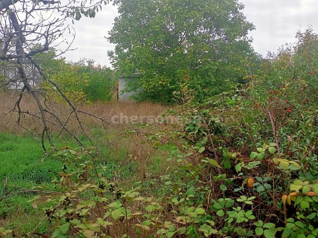 Продажа участка, Севастополь, территория СТ Строитель-2 - Фото 8