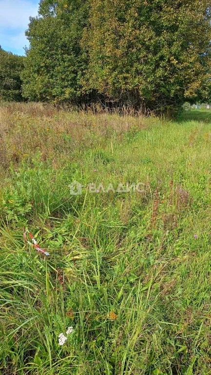 Юрьев-Польский район, село Пенье,  земля на продажу - Фото 4