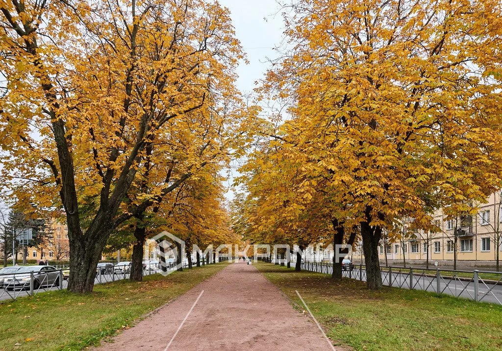 Продажа квартиры, м. Новочеркасская, Заневский пр-кт. - Фото 31