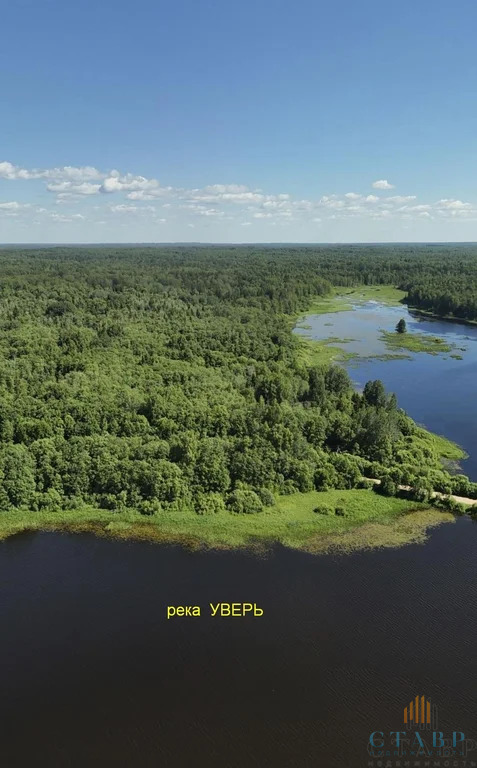 Продажа участка, Филистово, Мошенской район, деревня Филистово - Фото 2