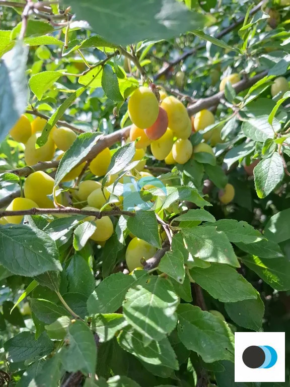 Продажа дома, Кетовский район - Фото 19