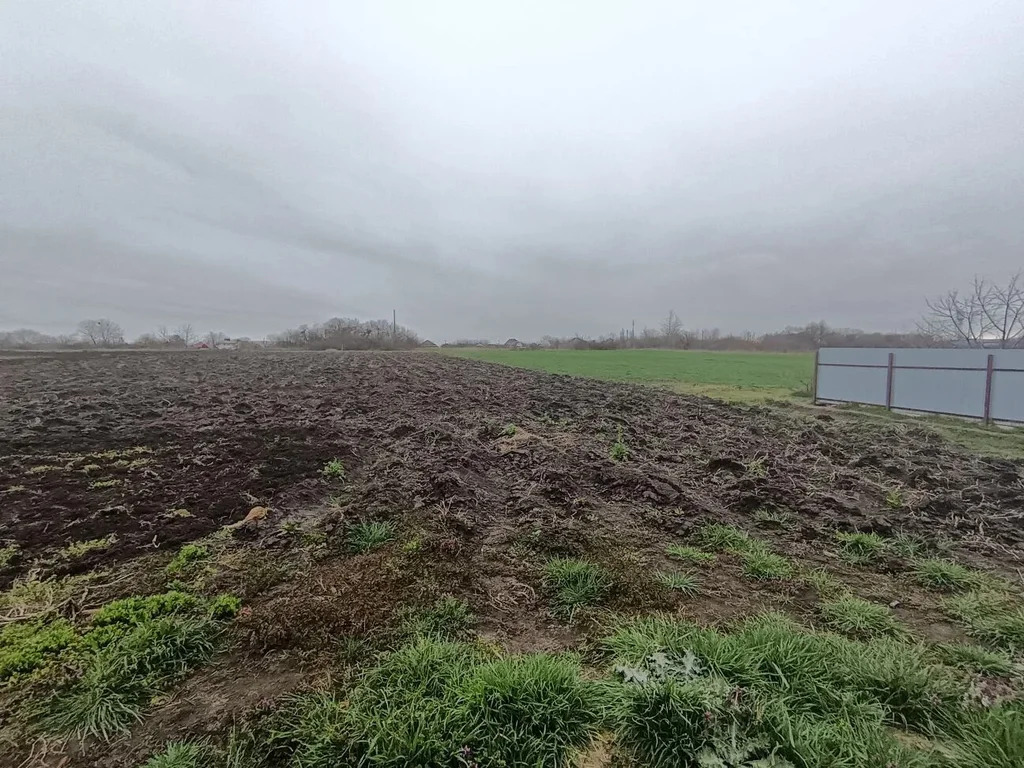 Продажа дома, Киевское, Крымский район, ул. Горького - Фото 6