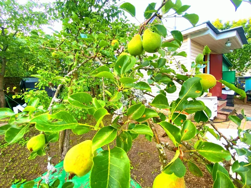 Дача в СНТ Родники - Фото 17