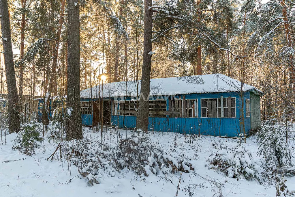 Земельный участок на продажу, Судогодский район, село Лукинское - Фото 12