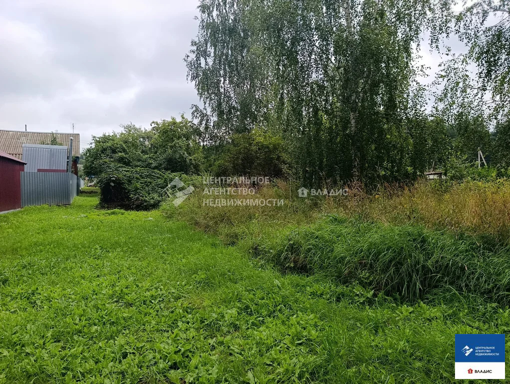 Продажа участка, Тырново, Шиловский район, ул. Зеленая - Фото 14