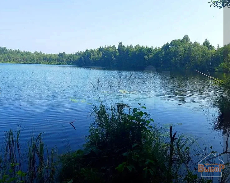 Продажа комнаты, Радовицкий, Шатурский район, ул. Мира - Фото 7