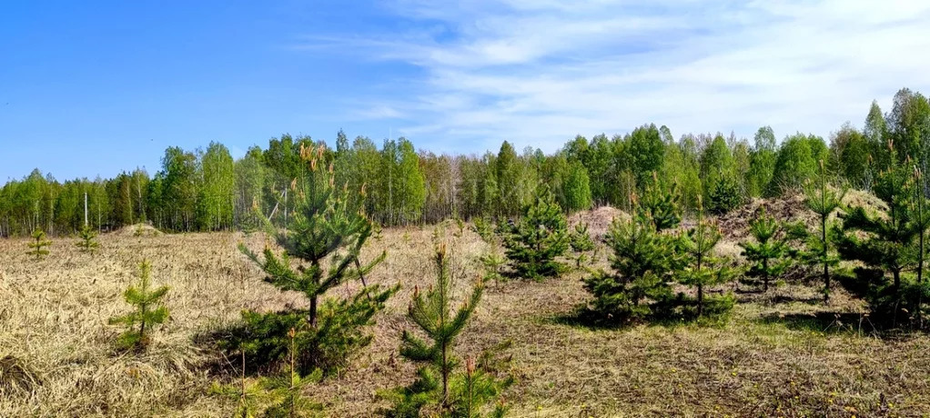 Продажа участка, Тюменский район, Тюменский р-н - Фото 1