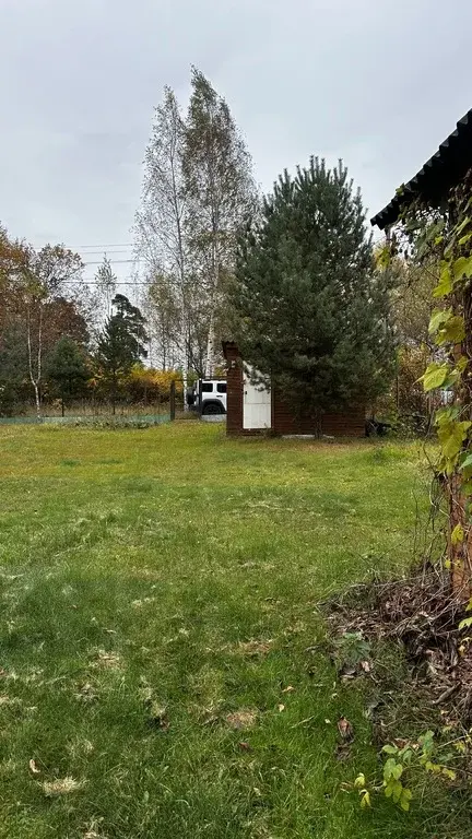 Воскресенский район, пгт. Белоозерский, СНТ «Экспресс» - Фото 18