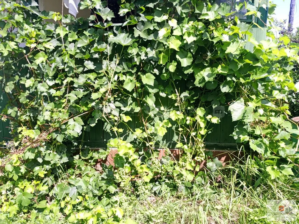 Продажа дома, Старые Бирюли, Высокогорский район, ул. Овражная - Фото 22