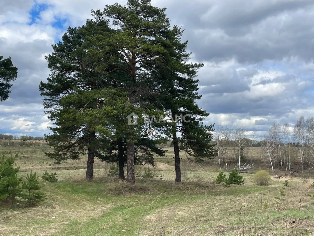 городской округ Ступино, село Ивановское,  земля на продажу - Фото 2