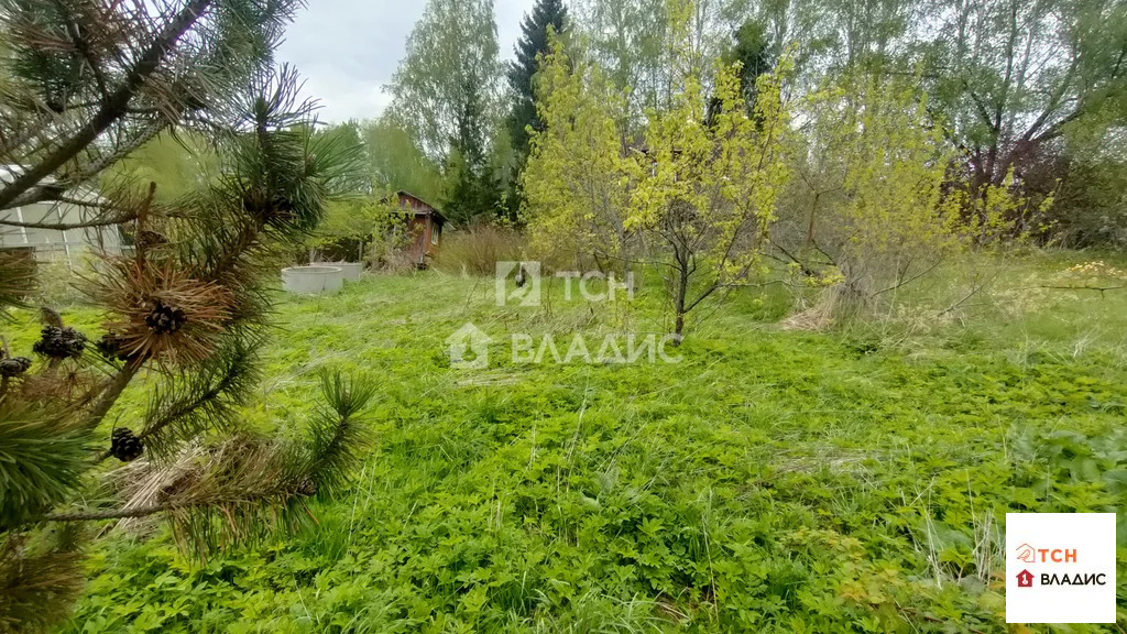 городской округ Лосино-Петровский, деревня Корпуса,  земля на продажу - Фото 11