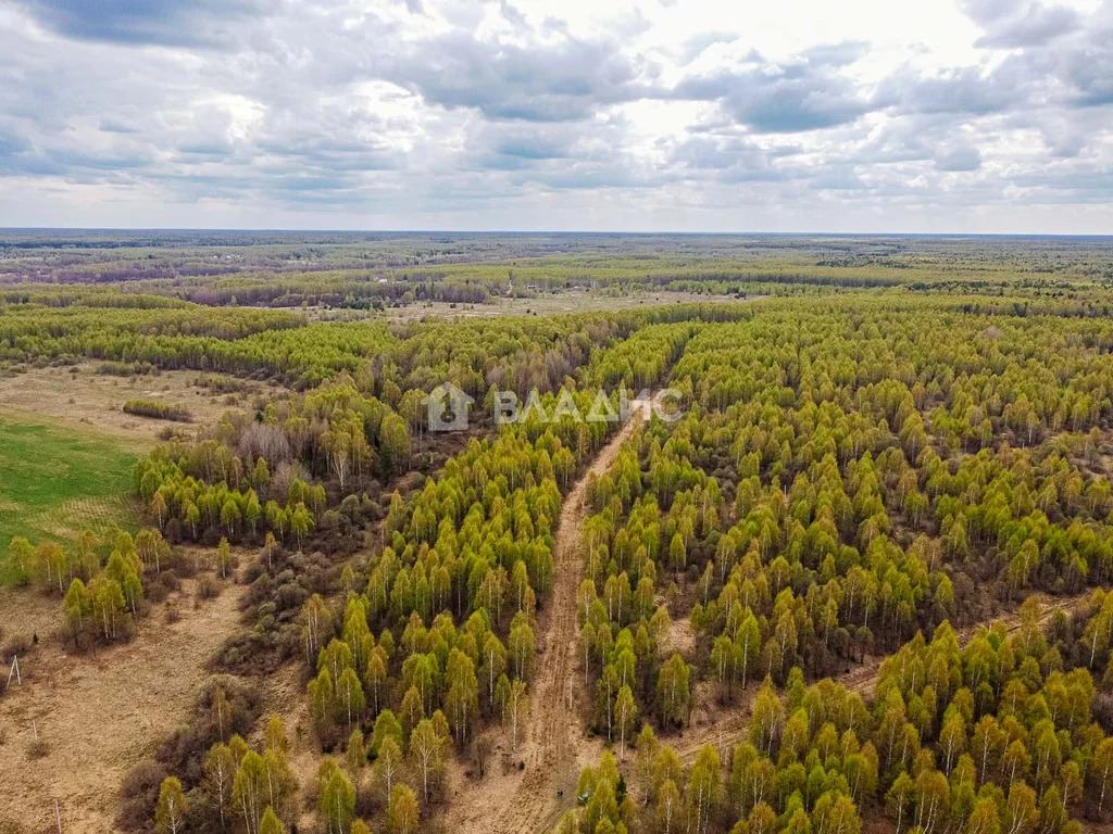 Судогодский район, деревня Кощеево, земля на продажу - Фото 2