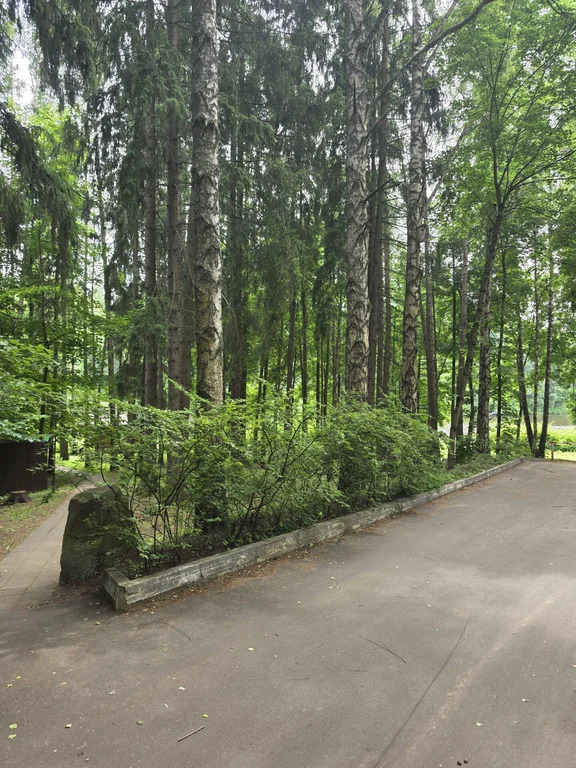 Продажа участка, Мытищинский район - Фото 21
