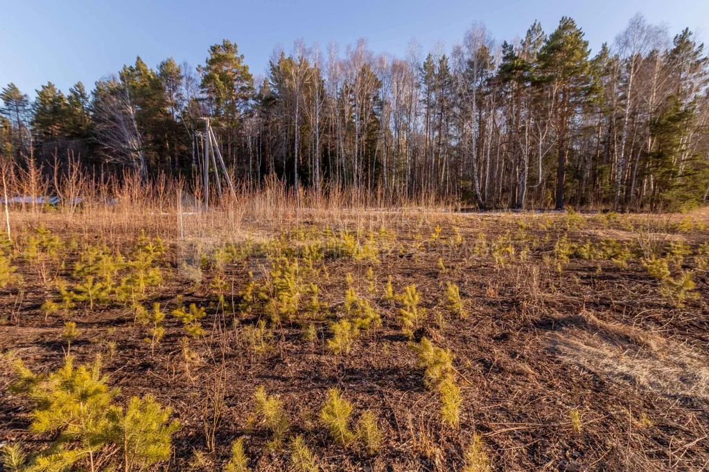 Продажа участка, Ушакова, Тюменский район, Тюменский р-н - Фото 11