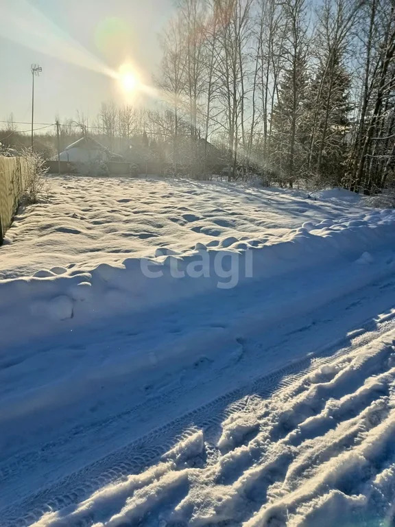 Продажа участка, Щекавцево, Богородский г. о. - Фото 6