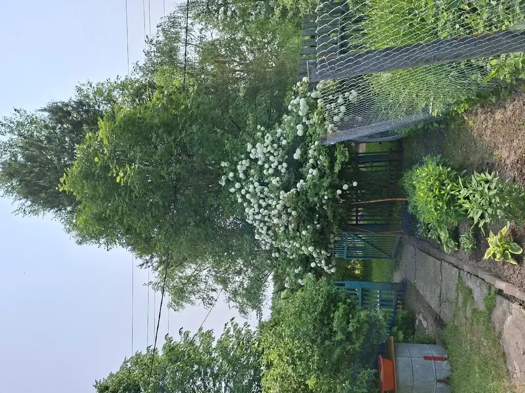 Продается дом на уч. в дерене Щелканово - Фото 14