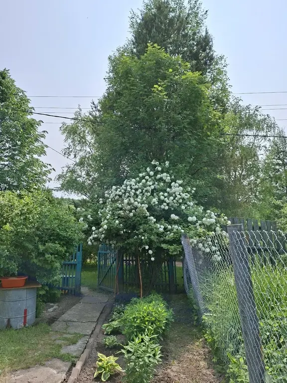 Продается дом на уч. в дерене Щелканово - Фото 15