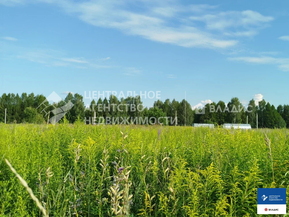 Продажа участка, Дубняки, Рязанский район - Фото 1