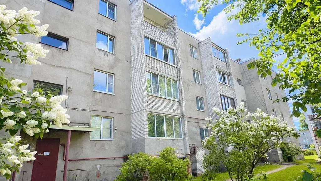 Квартира с ремонтом рядом с Зеленогорском, городская прописка - Фото 23