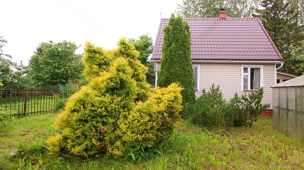 Дача в Волоколамском районе Московской области 90 км. от мкад. - Фото 20